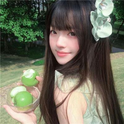 不进花瓶的洋甘菊