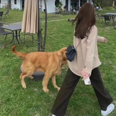 戈德堡一家第四季
